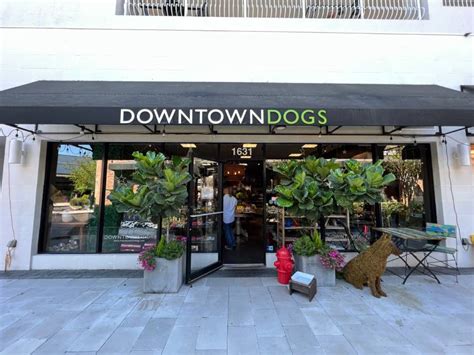 Downtown Dogs Tampa.